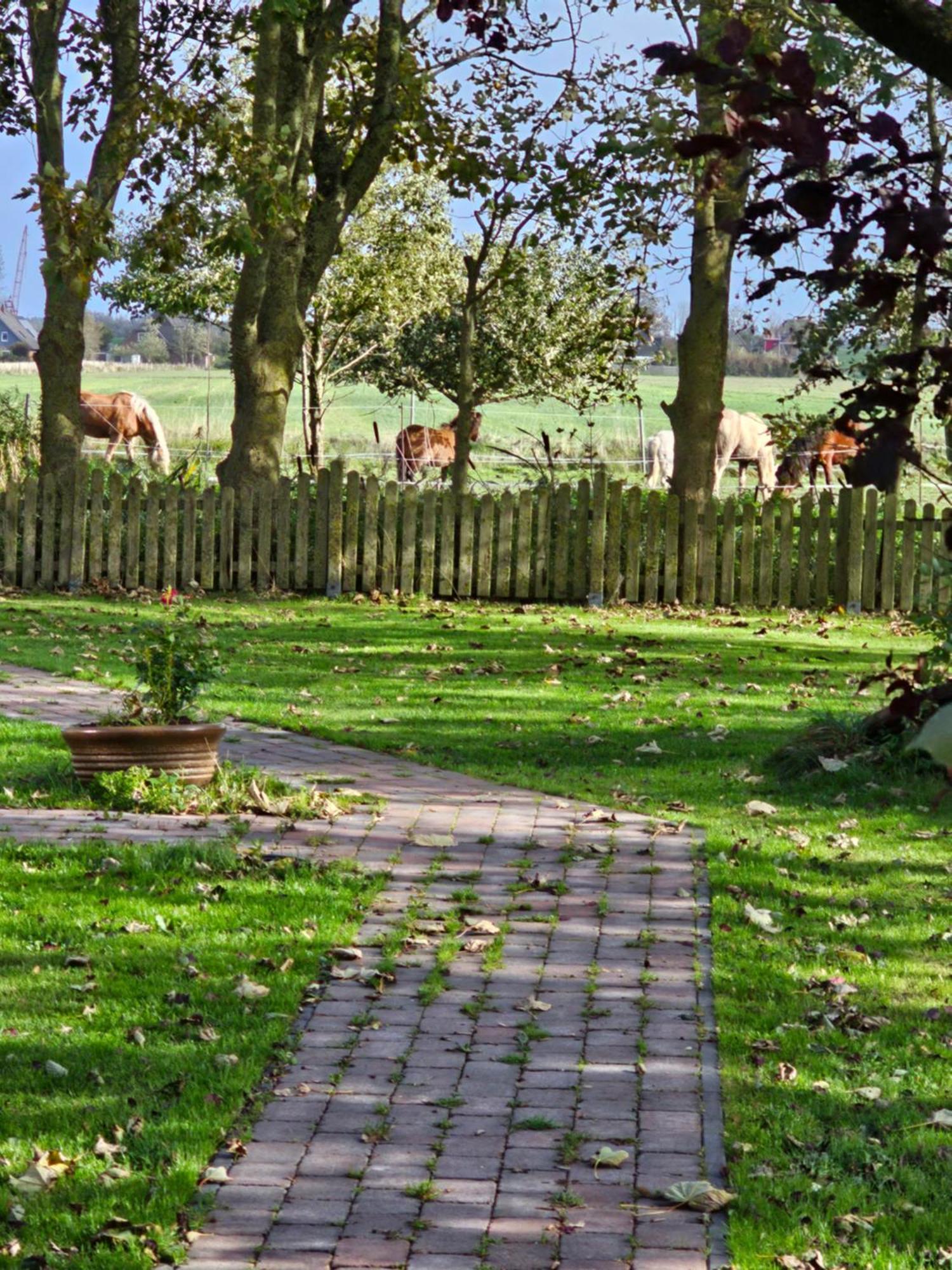 Finkhaus * Simonsberg